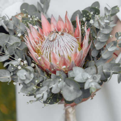 Eucalyptus and Protea Bouquet | Suncoast Botanicals