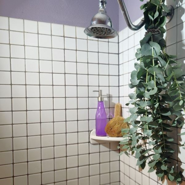 suncoastbotanicals trueblueeucalyptusshower3