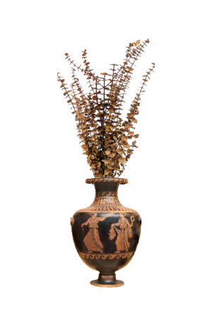 Preserved Eucalyptus in vase - Washed Camel | Suncoast Botanicals Preserved Eucalyptus in Vase - Washed Camel | Suncoast Botanicals