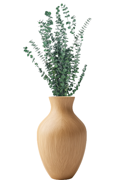 Frosted Kiwi Preserved Eucalyptus Vase | Suncoast Botanicals