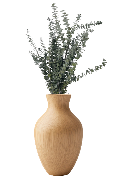 Frosted Olive Preserved Eucalyptus Vase | Suncoast Botanicals