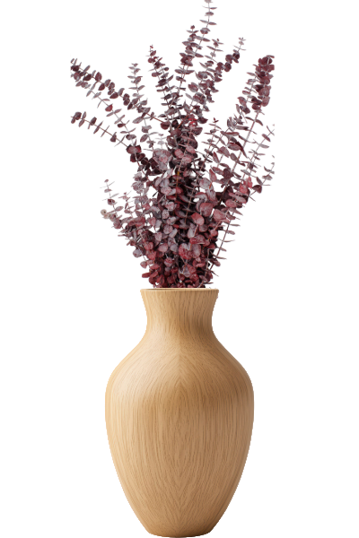 Frosted Preserved Eucalyptus Vase - Red | Suncoast Botanicals