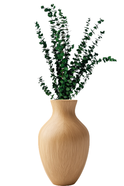 Washed Kiwi Preserved Eucalyptus Vase | Suncoast Botanicals