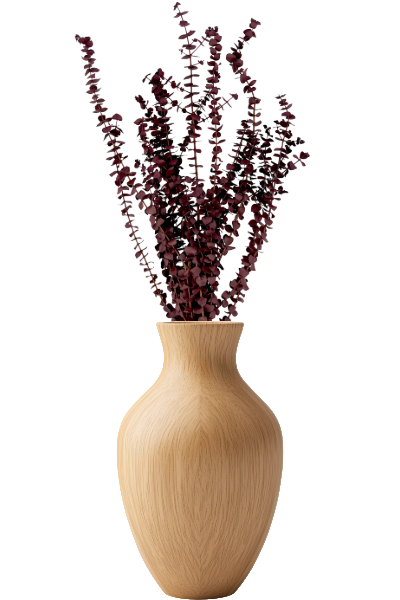 Washed Red Preserved Eucalyptus - 
Vase | Suncoast Botanicals