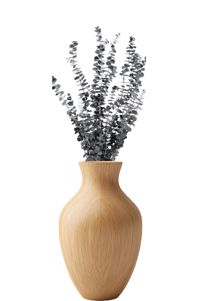 Frosted Black Preserved Eucalyptus - vase | Suncoast Botanicals