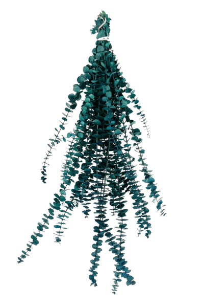 Washed Green Preserved Eucalyptus | Suncoast Botanicals