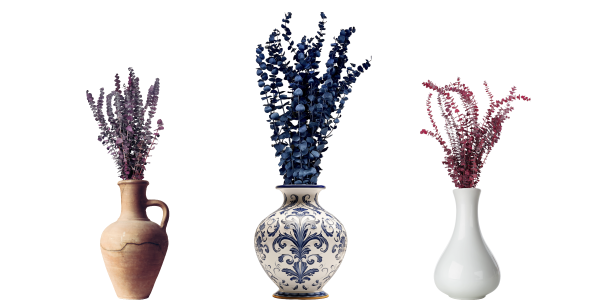 Preserved Eucalyptus in Vases | Suncoast Botanicals