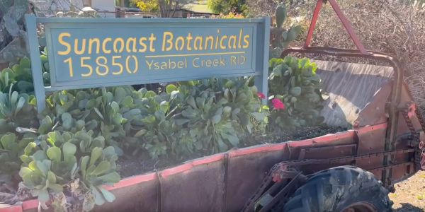 Suncoast Botanicals Address Sign and Vintage vehicle planter with plants