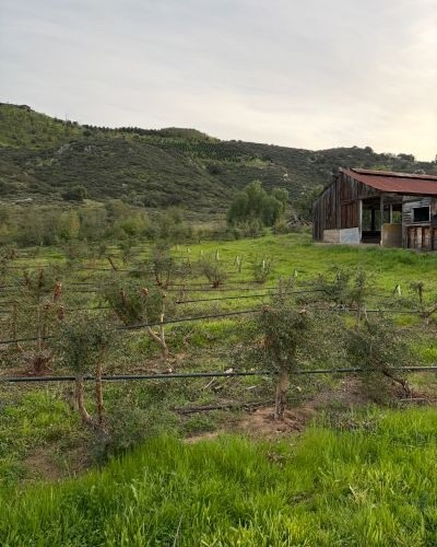 Working the Land | Suncoast Botanicals